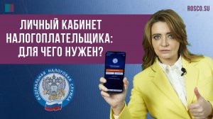 Личный кабинет налогоплательщика: для чего нужен?