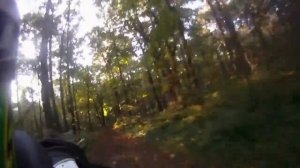 квадроцикл Yamaha YFM 350 Raptor ( прогулка по лесу )