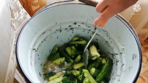 Огурцы с горчицей на зиму. ПРОСТОЙ подробный рецепт