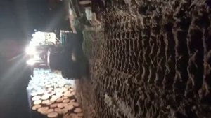 заготовка древесины для дальнейшей переработке