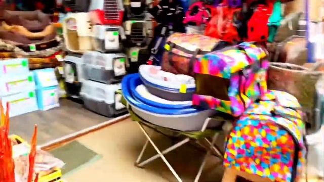 Птичий рынок, СМОТРИМ ЖИВОТНЫХ смотреть онлайн