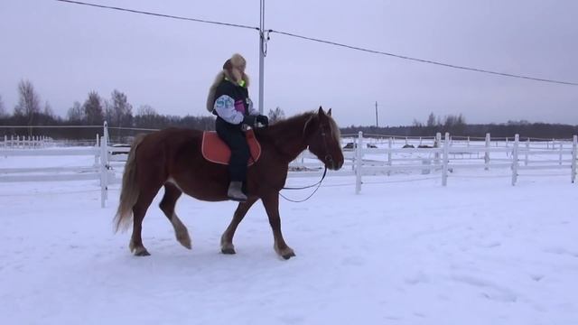 Падение с лошади. смотреть онлайн