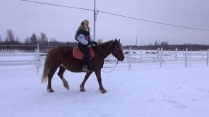 Падение с лошади.