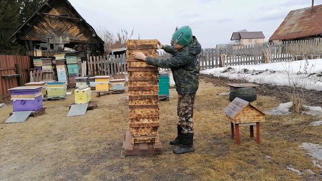 Японский улей. 3 часть.