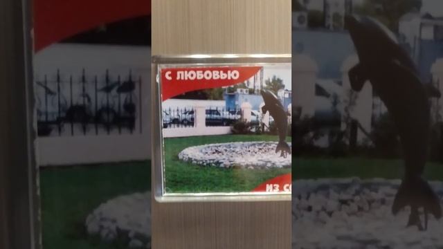 Черный дельфин. Магнитик на холодильник / photo magnet