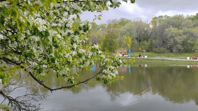 280.  г. Хабаровск. ТОГУ - кинотеатр Хабаровск.  13.05.24.
