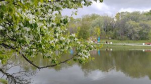 280.  г. Хабаровск. ТОГУ - кинотеатр Хабаровск.  13.05.24.
