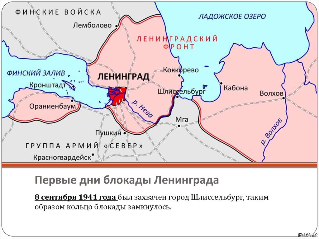 Блокада ленинграда карта окружения