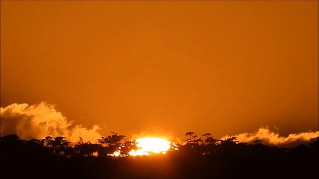 WINGS (Birdy Cover) - Hannah Solly & Tom Hughes смотреть онлайн