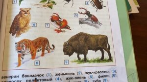 Окружающий мир 4 кл/Плешаков/ Тема:Лес и человек/23.10.22