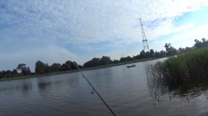 Жерех бьет но не клюет. Река Martwa Wisla.