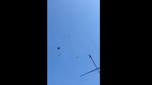 Николаевские голуби п.Сартана ЧАСТЬ 3 (САМОПОДЬЕМ ДИСБАТА)