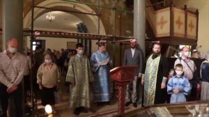 Дети – цветы жизни?