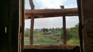 Сделал стол для работы, начал распиливать на дрова кучи спиленных деревьев