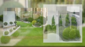 Ландшафтные композиции с шаровидными туями