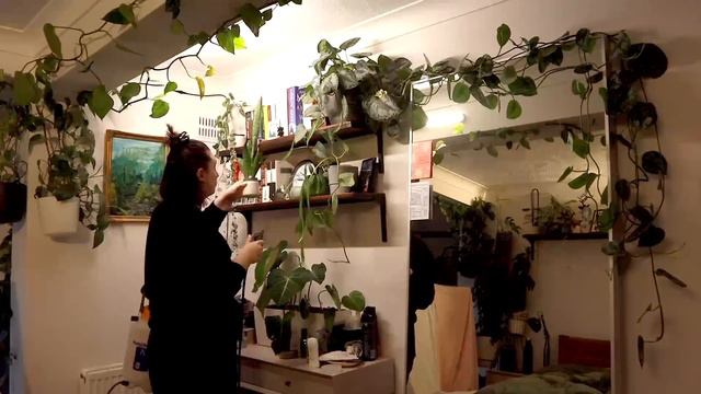 my IDEAL planty morning routine 🪴 Plantmas Day 10 смотреть онлайн