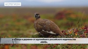 ЗАПОВЕДНИК ПРОСИТ КАМЧАТЦЕВ ПОУЧАСТВОВАТЬ В ИЗДАНИИ КНИГИ ПРО ПТИЦ • НОВОСТИ КАМЧАТКИ