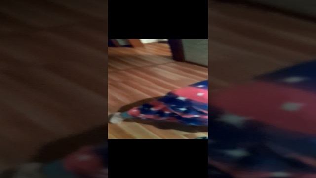 ПОКАЗЫВАЮ МОИ ОРИГИНАЛЬНЫЕ ВЕЩИЦЫ???