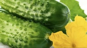 Срочно дайте огурцам 1 таблетку аспирин и будете собирать урожай ведрами до осени. Подкормка огурцы