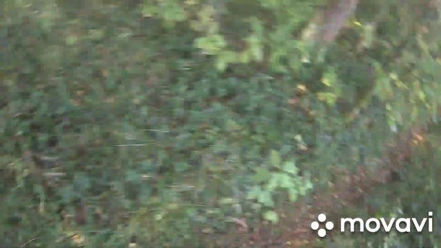 охота на уток 5 смотреть онлайн