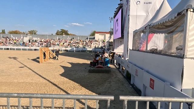 GX010833 - 2023-09-23 - КШВЕ Вестерн/Фламенко 018 смотреть онлайн