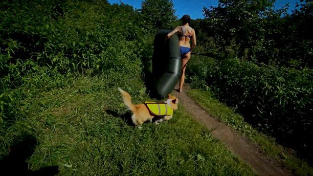 Тарелочкин пруд