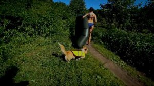 Тарелочкин пруд