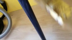 Покрываю икеевский стеллаж Альберт лаком :)