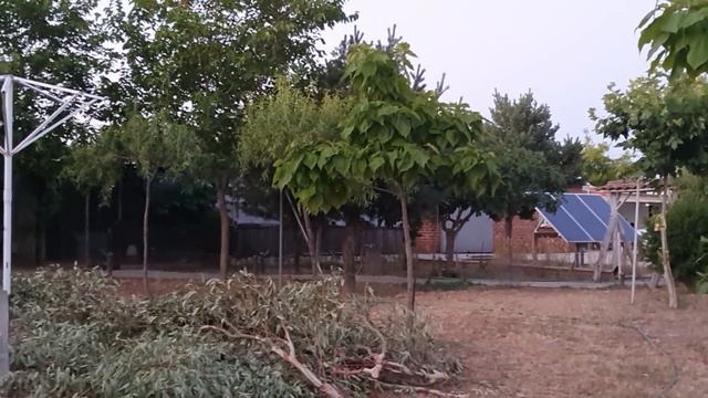 103. мне они создают проблемы. никуда мне нельзя выйти .жду от вас информацию смотреть онлайн