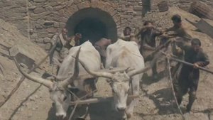 Викинг Штурм Корсуни