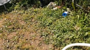 Бассейн Summer Escapes спустя год