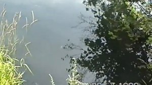 Ловля голавля на кузнечика