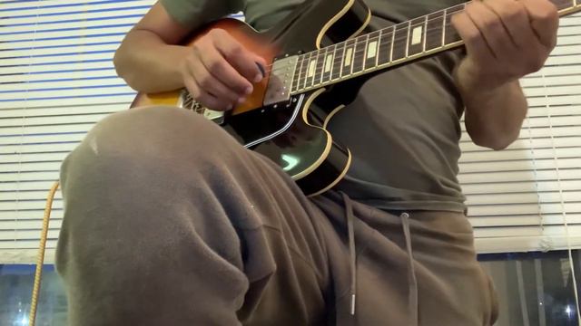 Tokai ES 335 and Fender Tone Master Deluxe Reverb смотреть онлайн