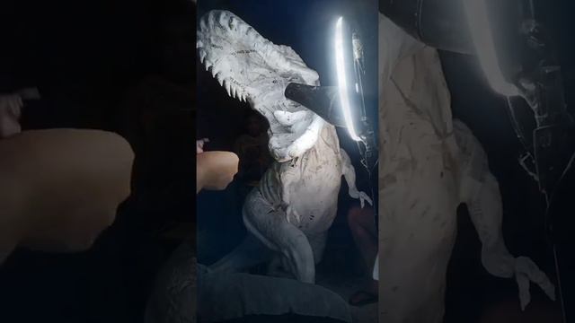T-rex part 6 😁 ( Time Lapse ) #status #papermache #papercraft #jurassicpark #jurassicworld смотреть онлайн