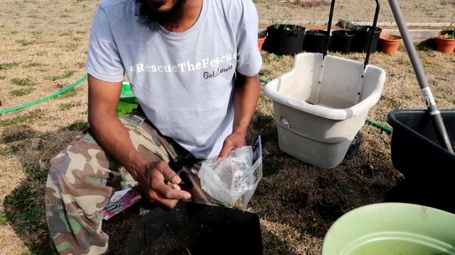 How to Plant Gladiolus & Marigolds Brokefarmer/Garden Vlog смотреть онлайн