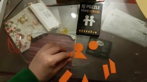 IQ PUZZLE BRAIN FITNESS