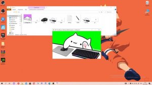 как сделать котика на стриме