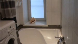 Купить квартиру/ Купить квартиру в Новосибирске/ Пашино/ ул. Флотская, д.1