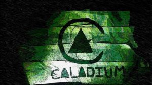 Caladium - Bored&Useless