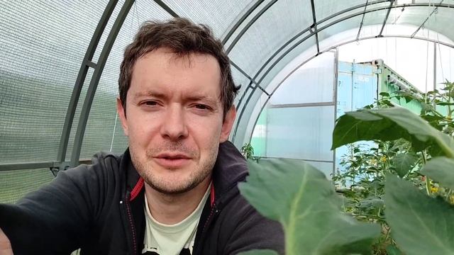 Ликбез часть 12 (2023). Обзор насосов для полива из бочки. Нормируем кисти. Арбузы-гиганты. смотреть онлайн