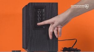 Обзор колонок Bluetooth GINZZU GM-312 | Ситилинк