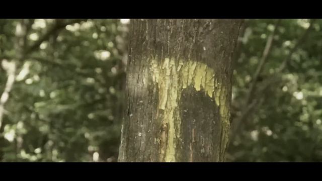 Twist -Вечный механизм смотреть онлайн