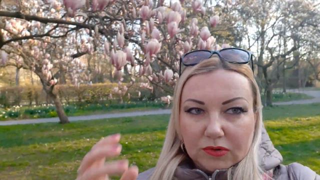 Гуляю по аллее магнолий в парке города Ашаффенбург смотреть онлайн