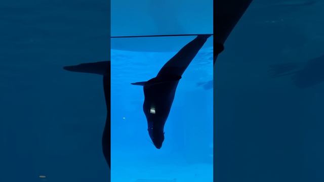 8 августа 2023 г. смотреть онлайн