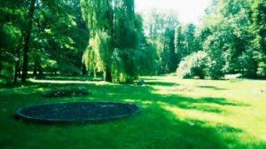 ЧУДОВИЙ СПІВ ПТАХІВ З МУЗИКОЮ ЧУДЕСНОЕ ПЕНИЕ ПТИЦ  С  МУЗЫКОЙ.  ПЕНИЕ ПТИЦ.  МУЗЫКА.