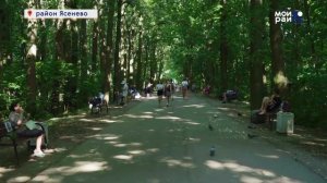 Прогулка по району: Ясенево с Дарьей Василевской