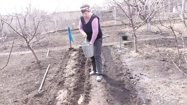 КАК ПРОГНАТЬ МЕДВЕДКУ С ОГОРОДА смотреть онлайн