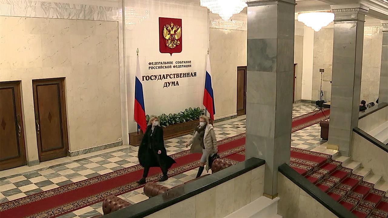 Госдума законопроекты на рассмотрении на 2024 год