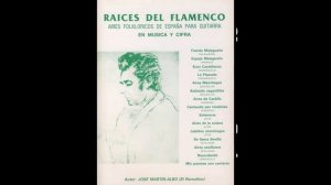 ¿Qué es el Nuevo flamenco? La Historia Continúa