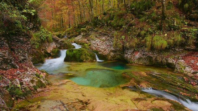 Осенний поцелуй ? Музыка - Эдгар Туниянц смотреть онлайн